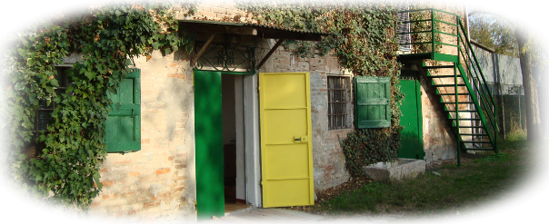 Gattile Comunale di Modena