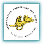 Logo APG